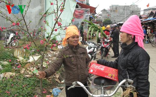 กิจกรรมฉลองเทศกาลตรุษเต็ตปีมะแมในเวียดนาม